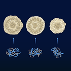 Bacterial Biofilm and Genome Segment Associations Diagram